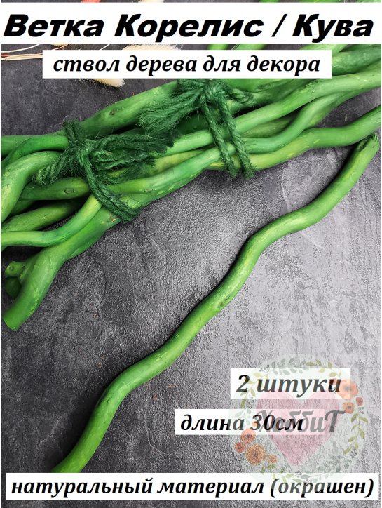 Ветка Корелис/Кува, 30см (зеленый), 2штуки